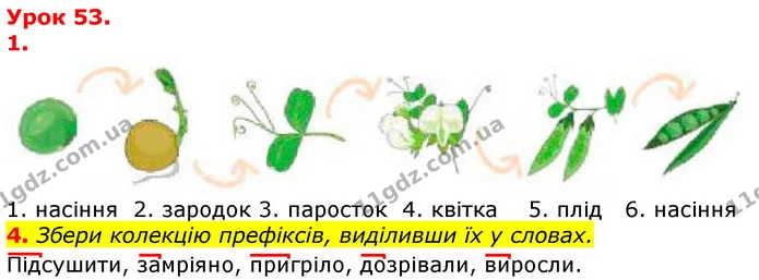 4. Збери колекцію префіксів, виділивши їх у словах. — ГДЗ Українська мова та читання 3 клас Остапенко 1-2 ч.