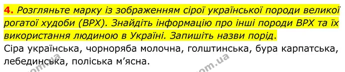 4. Розгляньте марку із зображенням сірої української породи великої рогатої худоби (ВРХ). Знайдіть інформацію про інші породи ВРХ та їх — ГДЗ робочий зошит Біологія 7 клас Кулініч