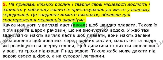 5. На прикладі кількох рослин і тварин своєї місцевості дослідіть і запишіть у робочому зошиті їх пристосування до життя у водному — ГДЗ Природознавство 5 клас Ярошенко