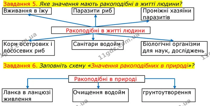 Стор. 21 — 5-6 — ГДЗ Робочий зошит з Біології 7 клас Яременко — ГДЗ Робочий зошит з Біології 7 клас Яременко