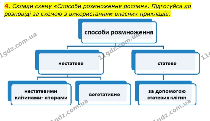 4. Склади схему «Способи розмноження рослин». Підготуйся до розповіді за схемою з використанням власних прикладів. — ГДЗ Пізнаємо природу 6 клас Коршевнюк