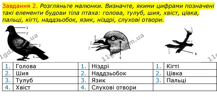 Стор. 48 — 2 (2) — ГДЗ Робочий зошит з Біології 7 клас Яременко — ГДЗ Робочий зошит з Біології 7 клас Яременко