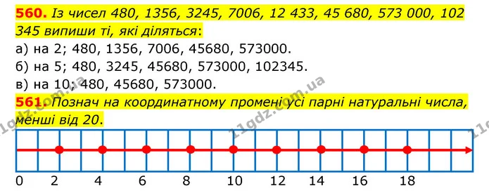 560. Із чисел 480, 1356, 3245, 7006, 12 433, 45 680, 573 000, 102 345 випиши ті, які діляться: — ГДЗ Математика 5 клас Бевз