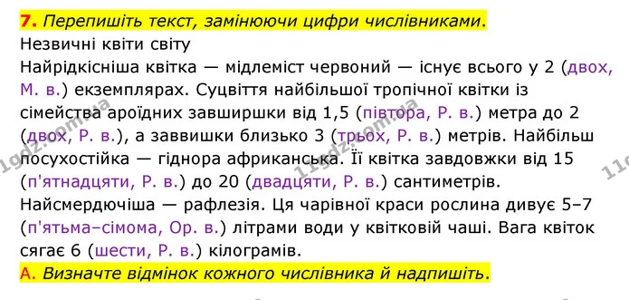 7. Перепишіть текст, замінюючи цифри числівниками. — ГДЗ Українська мова 6 клас Авраменко