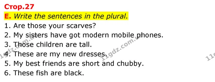 E. Write the sentences in the plural. — ГДЗ зошит Англійська мова 5 клас Мітчелл
