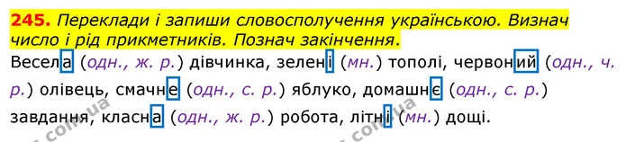 245. Переклади і запиши словосполучення українською. Визнач число і рід прикметників. Познач закінчення. — ГДЗ Українська мова та читання 3 клас Коваленко (1 частина)