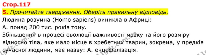 1. Розгляньте малюнки. Дайте письмові відповіді на запитання. — частина 5 — ГДЗ Робочий зошит Біологія 8 клас Тагліна (2025)
