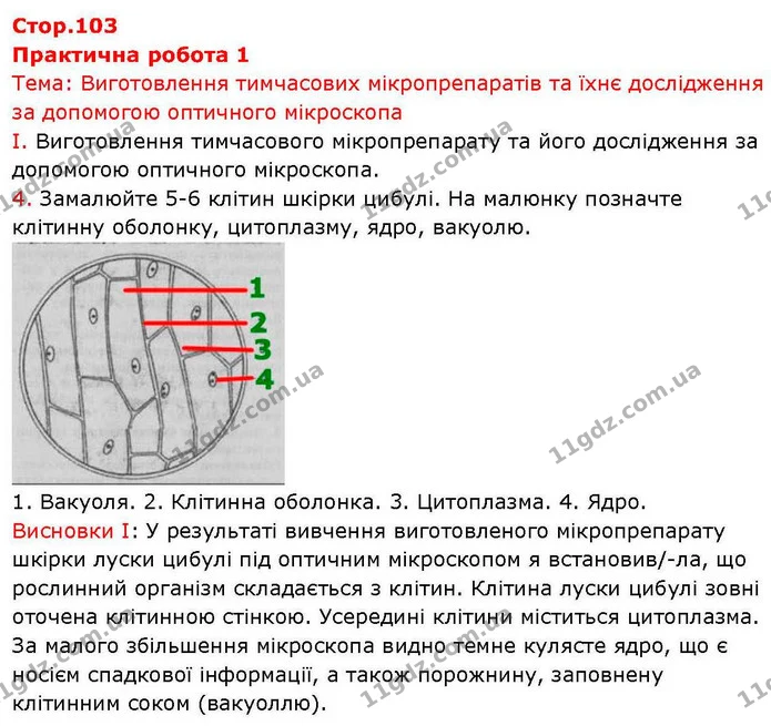 Пр.1 (1) — ГДЗ робочий зошит Біологія 7 клас Кулініч — ГДЗ робочий зошит Біологія 7 клас Кулініч