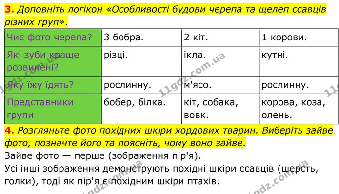 3. Доповніть логікон «Особливості будови черепа та щелеп ссавців різних груп». — ГДЗ робочий зошит Біологія 7 клас Кулініч