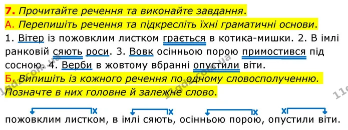 7. Прочитайте речення та виконайте завдання. — ГДЗ Українська мова 6 клас Авраменко
