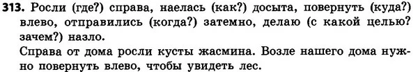 313 — ГДЗ Русский язык 4 класс Сильнова, Каневская 2015
