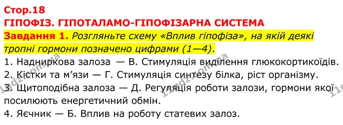 Стор. 18 — 1 — ГДЗ робочий зошит Біологія 8 клас Андерсон — ГДЗ робочий зошит Біологія 8 клас Андерсон