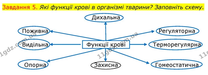 Стор. 65 — 5 — ГДЗ Робочий зошит з Біології 7 клас Яременко — ГДЗ Робочий зошит з Біології 7 клас Яременко