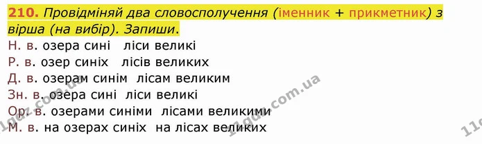 210. Провідміняй два словосполучення (іменник + прикметник) з вірша (на вибір). Запиши. — ГДЗ Українська мова та читання 4 клас Кравцова