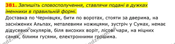 381. Запишіть словосполучення, ставлячи подані в дужках іменники в правильній формі. — ГДЗ Українська мова 6 клас Заболотний 2023