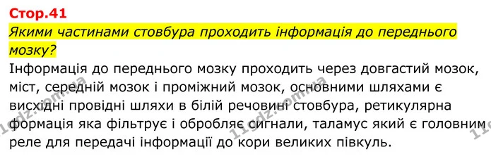 Якими частинами стовбура проходить інформація до переднього мозку? — ГДЗ Біологія 8 клас Балан