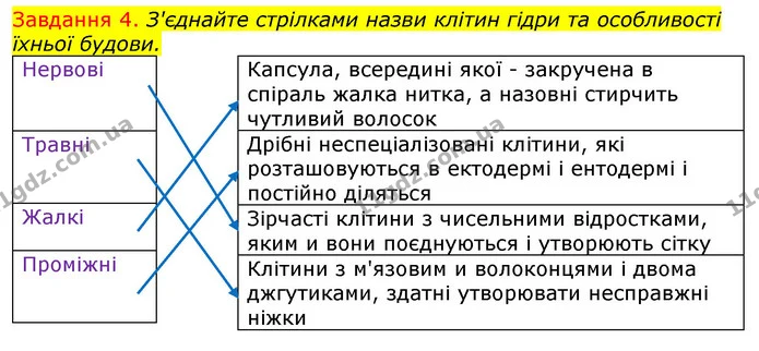 Стор. 14 — 4 — ГДЗ Робочий зошит з Біології 7 клас Яременко — ГДЗ Робочий зошит з Біології 7 клас Яременко