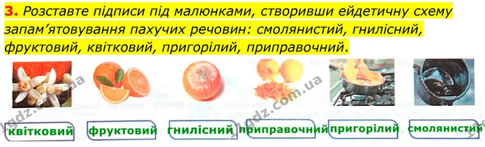 3. Розставте підписи під малюнками, створивши ейдетичну схему запам’ятовування пахучих речовин: смолянистий, гнилісний, фруктовий — ГДЗ Робочий зошит Біологія 8 клас Кулініч