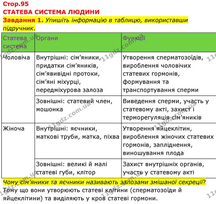 Стор. 95 — 1 — ГДЗ робочий зошит Біологія 8 клас Андерсон — ГДЗ робочий зошит Біологія 8 клас Андерсон
