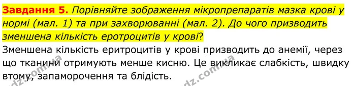 Стор. 68 — 5 — ГДЗ Робочий зошит біологія 8 клас Мирна — ГДЗ Робочий зошит біологія 8 клас Мирна