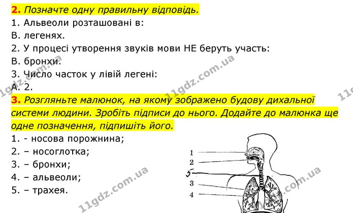 2. Позначте одну правильну відповідь. — ГДЗ Робочий зошит Біологія 8 клас Задорожний