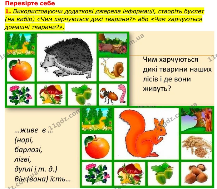 1. Які існують типи травлення у тварин? — ГДЗ Пізнаємо природу 6 клас Мідак