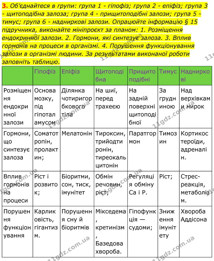 3. Об’єднайтеся в групи: група 1 – гіпофіз; група 2 – епіфіз; група 3 – щитоподібна залоза; група 4 – прищитоподібні залози; група 5 – — ГДЗ Робочий зошит Біологія 8 клас Кулініч