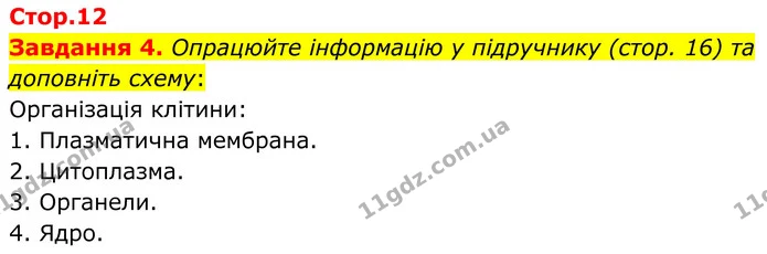 Стор. 12 — 4 — ГДЗ Робочий зошит біологія 8 клас Мирна — ГДЗ Робочий зошит біологія 8 клас Мирна