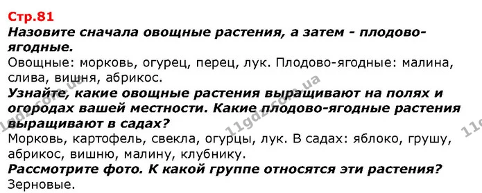 Назовите сначала овощные растения, а затем - плодово-ягодные. — ГДЗ Я исследую мир 1 класс Гильберг