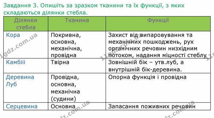 Стор. 28 — 3 — ГДЗ Робочий зошит Біологія 6 клас Мечник — ГДЗ Робочий зошит Біологія 6 клас Мечник