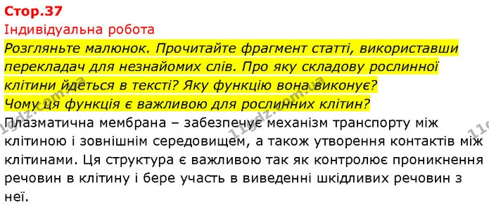 1. Які органели клітини рослин ви можете побачити у світловому мікроскопі? — ГДЗ Біологія 7 клас Тагліна