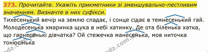 373. Прочитайте. Укажіть прикметники зі зменшувально-пестливим значенням. Визначте в них суфікси. — ГДЗ Українська мова 6 клас Глазова