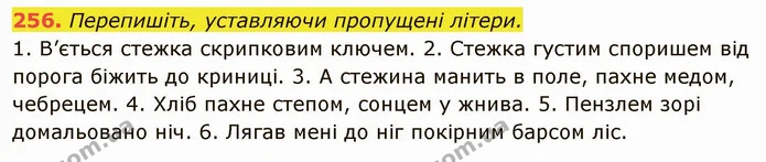 256. Перепишіть, уставляючи пропущені літери. — ГДЗ Українська мова 6 клас Глазова