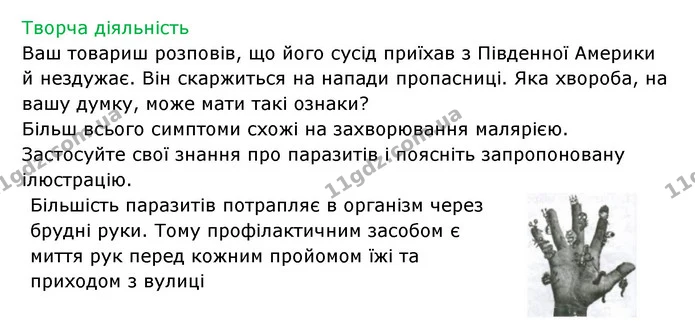 Стор. 20 — 4 — ГДЗ Робочий зошит Біологія 6 клас Соболь — ГДЗ Робочий зошит Біологія 6 клас Соболь