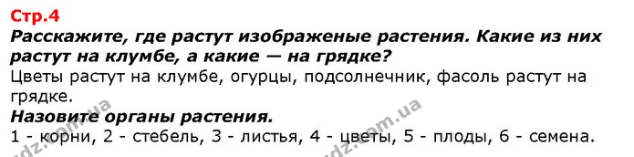 Расскажите, где растут изображеные растения. Какие из них растут на клумбе, а какие — на грядке? — ГДЗ Я исследую мир 1 класс Гильберг