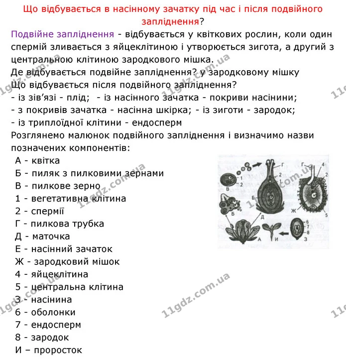 Стор. 58 — 2 — ГДЗ Робочий зошит Біологія 6 клас Соболь — ГДЗ Робочий зошит Біологія 6 клас Соболь