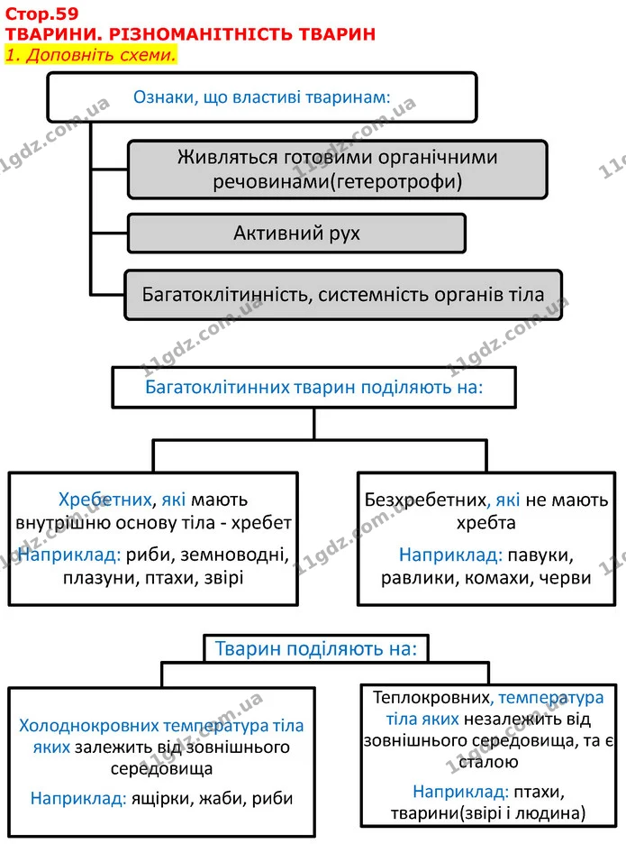 Уявна порожниста куля, на поверхню якої зсередини нанесено всі зорі; модель неба – це..  (П) небесна сфера  Точка небесної сфери — ГДЗ Робочий зошит Природознавство 5 клас Мечник