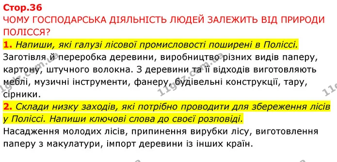 1. Напиши, які галузі лісової промисловості поширені в Поліссі. — ГДЗ Робочий зошит Я досліджую світ 4 клас Грущинська