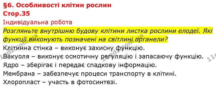 Розгляньте внутрішню будову клітини листка рослини елодеї. Які функції виконують позначені на світлині органели? — ГДЗ Біологія 7 клас Тагліна