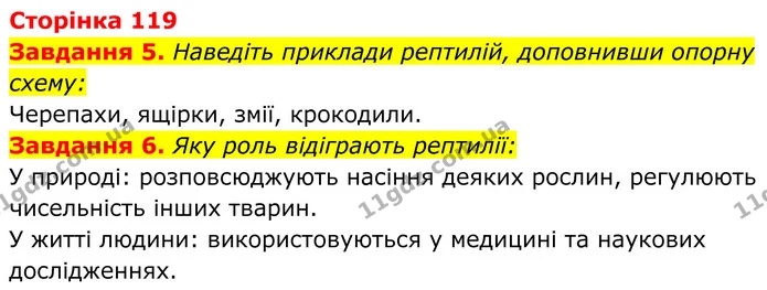 5. Наведіть приклади рептилій, доповнивши опорну схему: — ГДЗ Робочий зошит Біологія 7 клас Мирна 2024