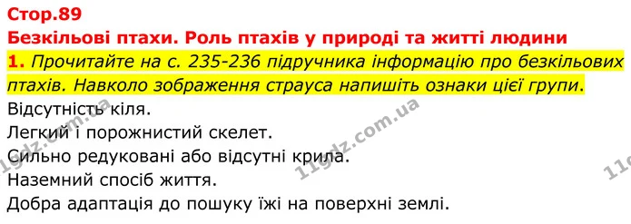1. Прочитайте на с. 235-236 підручника інформацію про безкільових птахів. Навколо зображення страуса напишіть ознаки цієї групи. — ГДЗ робочий зошит Біологія 7 клас Кулініч