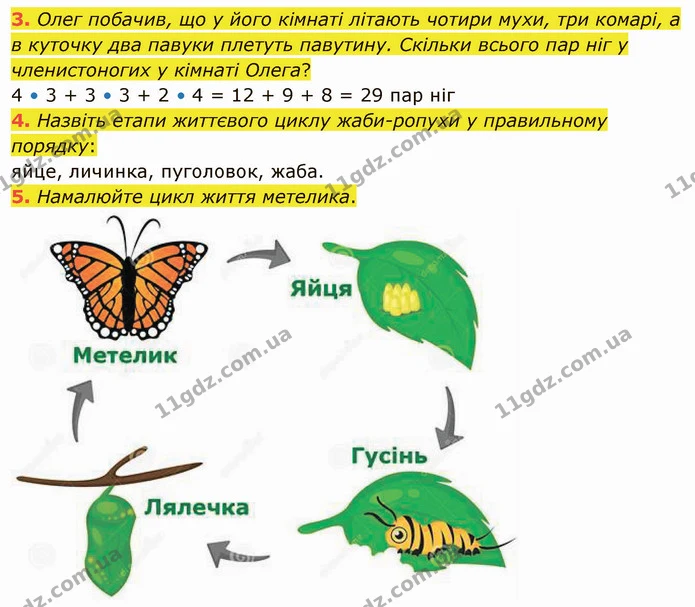 3. Олег побачив, що у його кімнаті літають чотири мухи, три комарі, а в куточку два павуки плетуть павутину. Скільки всього пар ніг у — ГДЗ Я досліджую світ 4 клас Воронцова 1-2 ч.