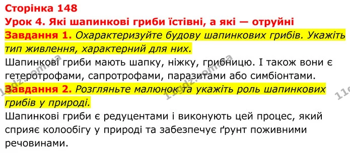 1. Охарактеризуйте будову шапинкових грибів. Укажіть тип живлення, характерний для них. — ГДЗ Робочий зошит Біологія 7 клас Мирна 2024