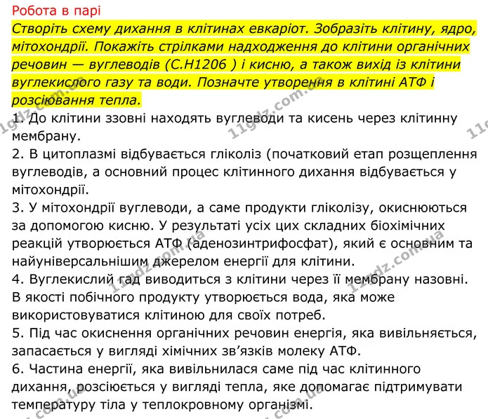 Стор. 74 — 2 — ГДЗ Біологія 8 клас Тагліна — ГДЗ Біологія 8 клас Тагліна