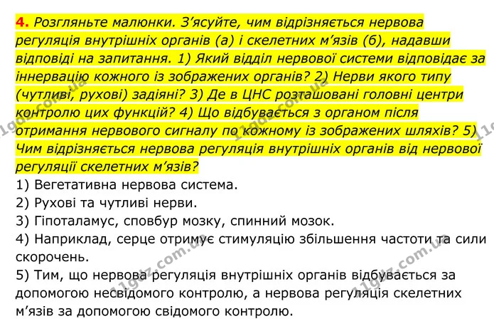 Стор. 151 — 2 — ГДЗ Біологія 8 клас Тагліна — ГДЗ Біологія 8 клас Тагліна