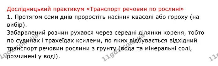 Стор. 47 — 3 — ГДЗ Робочий зошит Біологія 6 клас Соболь — ГДЗ Робочий зошит Біологія 6 клас Соболь