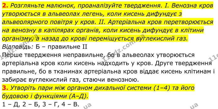 Стор. 199 — Стр.199 (3.2-3.3) — ГДЗ Біологія 8 клас Балан — ГДЗ Біологія 8 клас Балан