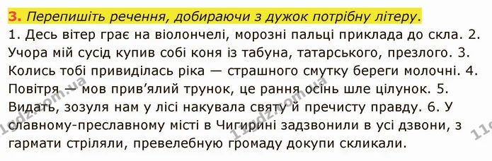 3. Перепишіть речення, добираючи з дужок потрібну літеру. — ГДЗ Українська мова 5 клас Авраменко 2022