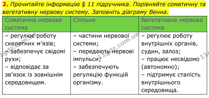 2. Прочитайте інформацію § 11 підручника. Порівняйте соматичну та вегетативну нервову систему. Заповніть діаграму Венна. — ГДЗ Робочий зошит Біологія 8 клас Кулініч