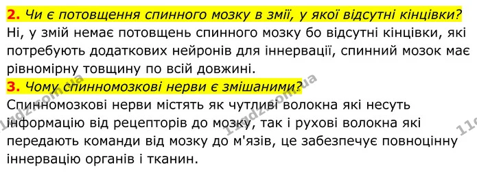 2. Чи є потовщення спинного мозку в змії, у якої відсутні кінцівки? — ГДЗ Біологія 8 клас Балан